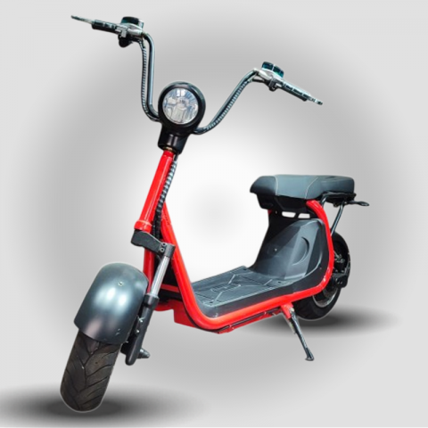 CITYMONO 1200W 60V