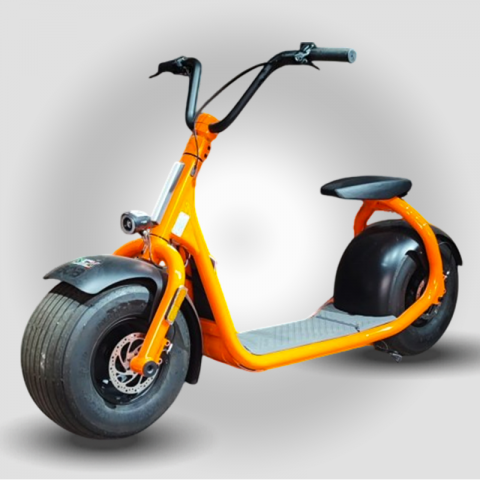CITYBOB 1000W 48V