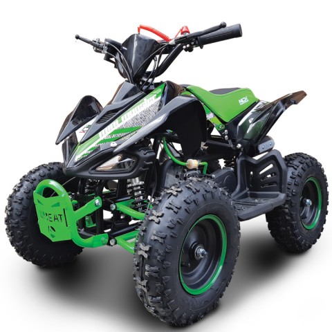 MINI MONSTER 50 R6