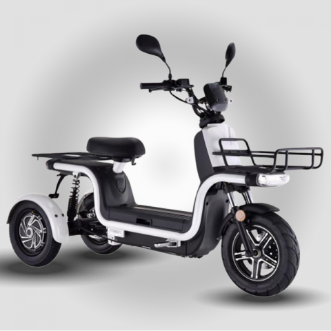 TRICARGO DELIVERY 800w 60v 26Ah