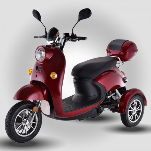 TRISCOOT 650w