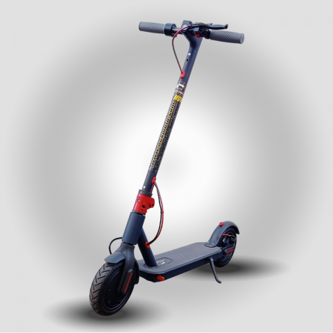 CITY MOVE 250w 7.8AH R8.5