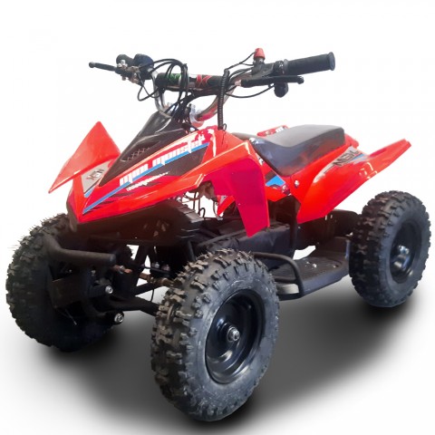 MINI MONSTER 500W R4 24V (ELETTRICO)
